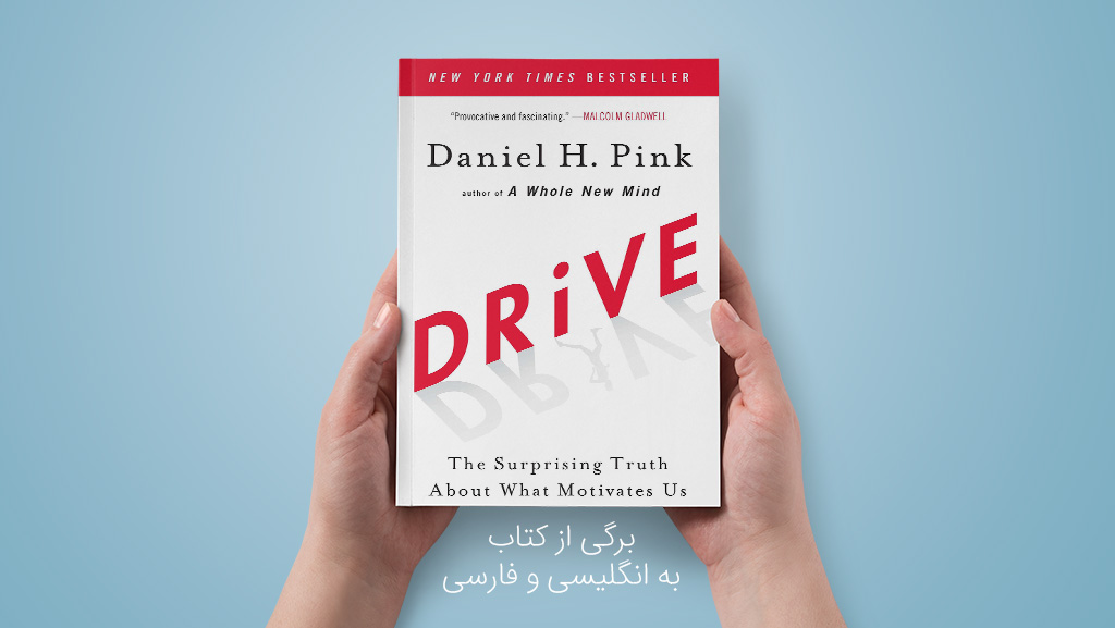 برگی از کتاب Drive نوشته دانیل پینک